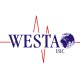 Акумулятори Westa: каталог, ціни, надійність від українського виробника Акумулятори Westa: каталог, ціни, надійність від українського виробника