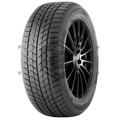 Автошина Doublestar WINTERKING DW09 315/35 R20 106T