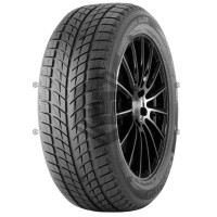 Автошина Doublestar WINTERKING DW09 235/55 R17 99T