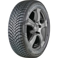 Автошина Falken WINTERPEAK F-SNOW 1 275/45 R20 110T XL