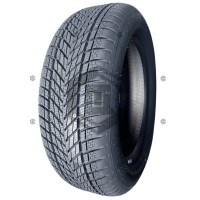 Автошина Dunlop Winter 205/55 R16 91H