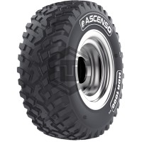 Автошина Ascenso MDR 1000 (індустріальна) 710/70 R42 185A8/180D