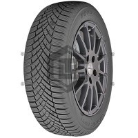 Автошина Toyo Observe EWS1 235/40 R19 96W XL