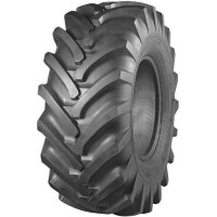 Автошина 540/70-24 (21.3-24) 140А8 ИЯВ-79У Росава н.ш.10 з кам.