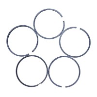 Кільця поршневі МТЗ П/К (110 мм.) (2 масл.) (DE041) (08-160800-00) (TECHMOT)