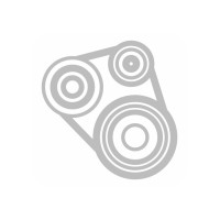 Пас (1018-10х8) 8.5-8-1018 (SPZ-1018 Lw/ 1031 La)